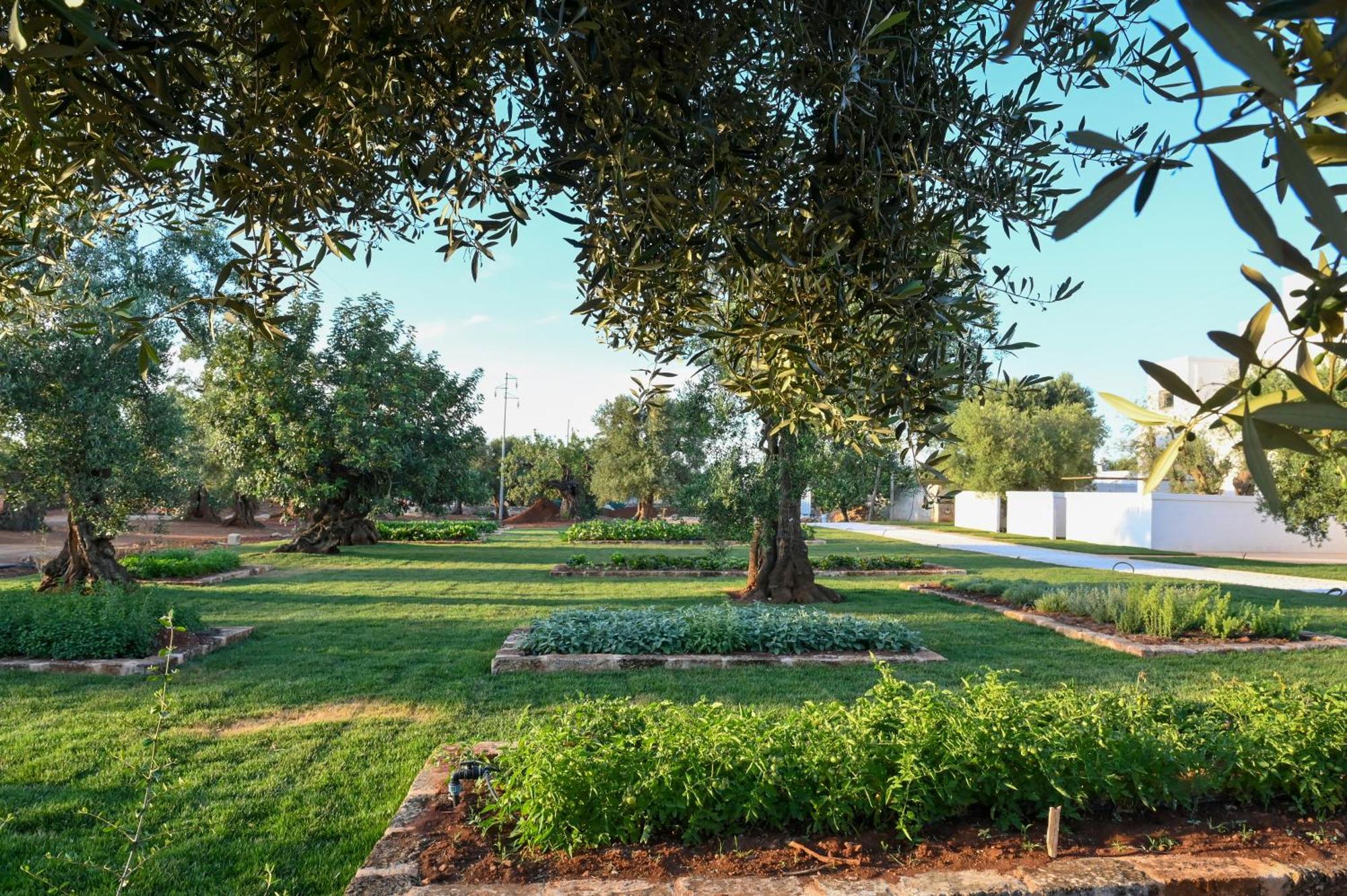 Masseria San Lorenzo Resort 파사노 외부 사진